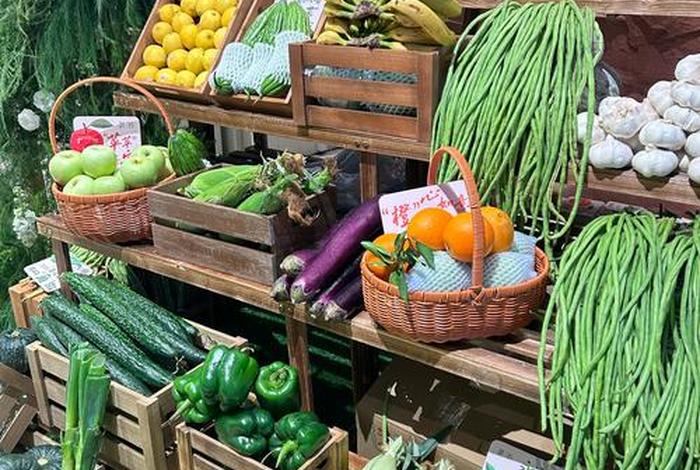 生活采集者；食物采集者的生活