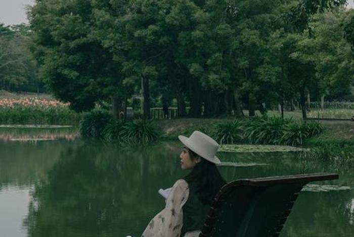 深圳一个人的生活怎么样(深圳一个人的生活怎么样啊) 深圳一个人的生活怎么样(深圳一个人的生活怎么样啊)