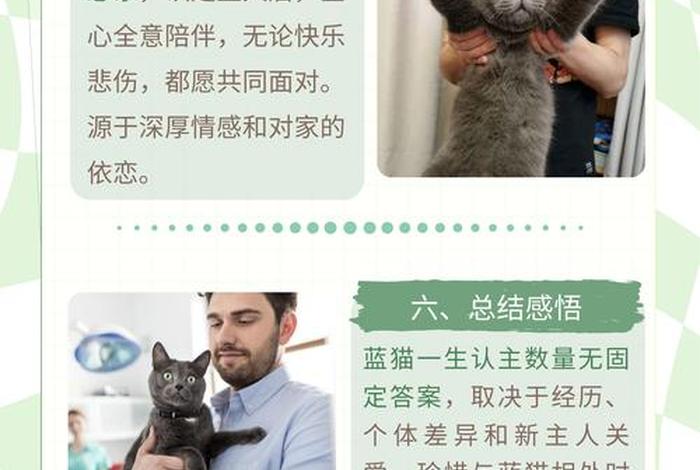 爱猫生活的视频 爱猫生活组观点正确吗 爱猫生活的视频 爱猫生活组观点正确吗