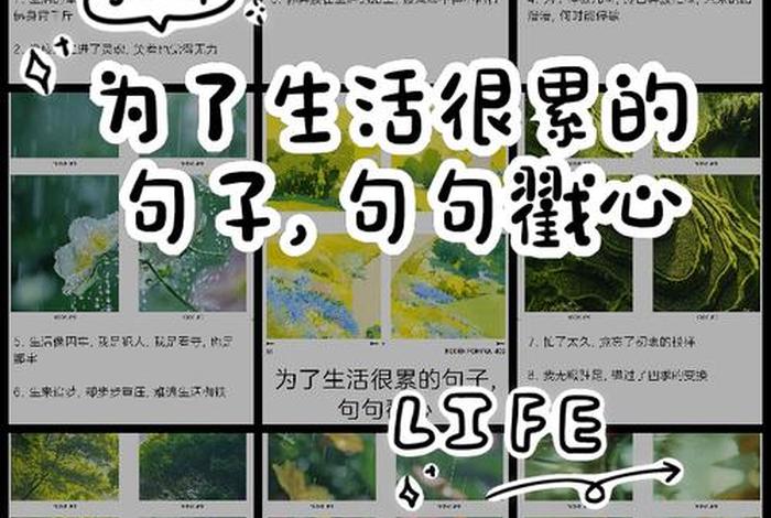 生活很累的霸气句子 生活很累的经典句子 人生感悟 生活很累的霸气句子 生活很累的经典句子 人生感悟