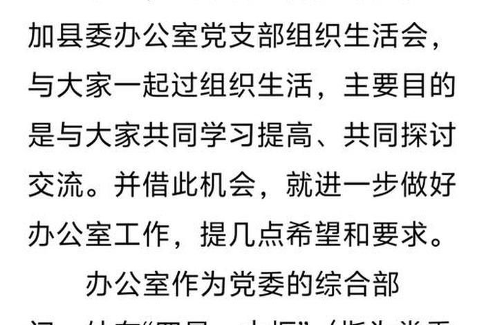 党支部组织生活会 - 党支部组织生活会简报