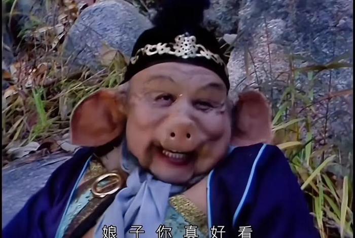 八戒生活直播 播放八戒八戒