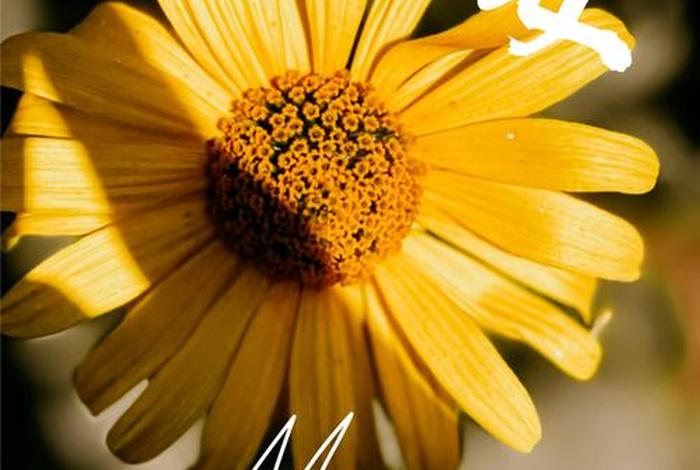 早安生活正能量简单一句话；早安生活感悟正能量简短