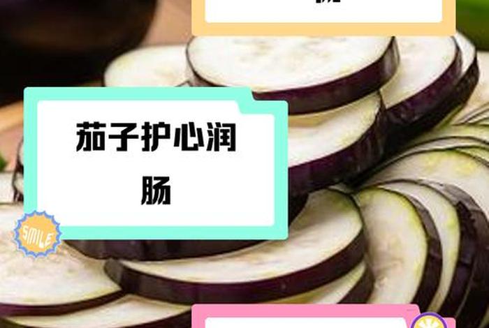 茄子生活是什么意思,茄子说明 茄子生活是什么意思,茄子说明