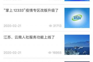 下载掌上12333（下载掌上1233）