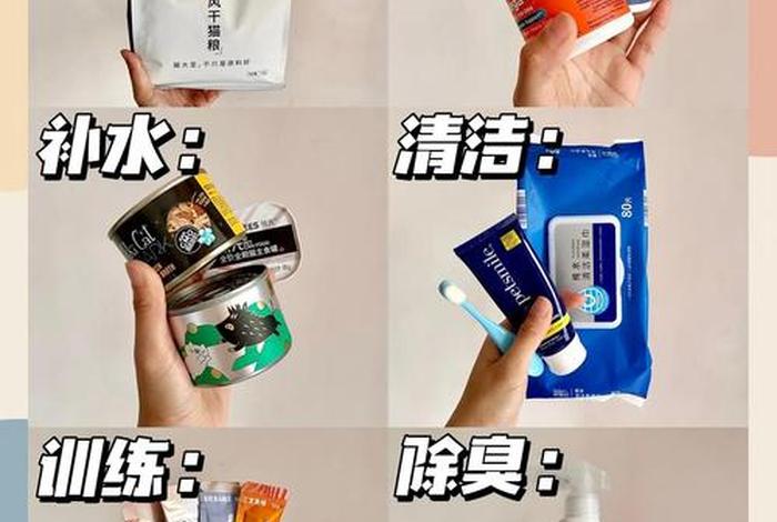 生活日常消耗品有哪些；生活中常用的消耗品