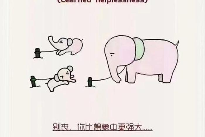 对生活失去信心图片、对生活失去信心的表情包