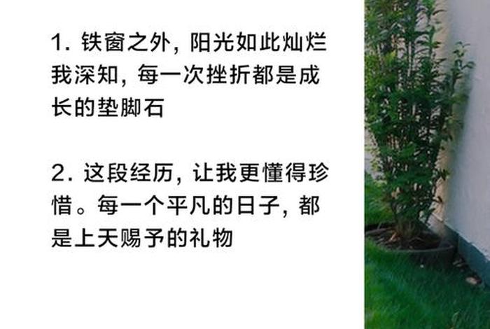 牢狱生活文案;监狱生活说说 牢狱生活文案;监狱生活说说