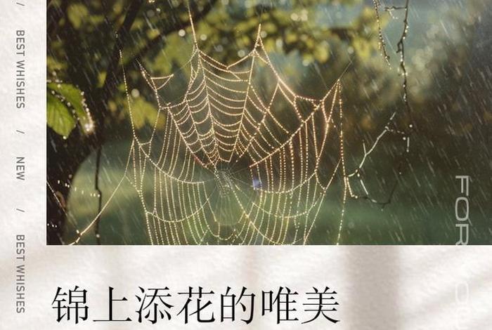 生活中锦上添花的诗句;关于锦上添花的名言名句 生活中锦上添花的诗句;关于锦上添花的名言名句