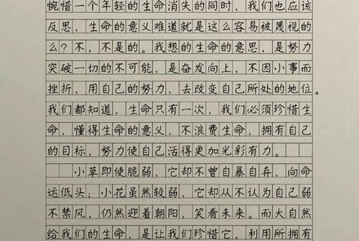 生活与生命作文,生活与生命作文素材 生活与生命作文,生活与生命作文素材