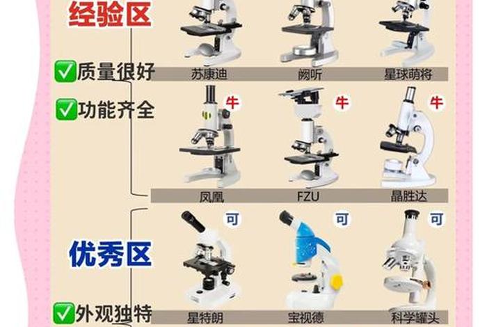 超生活体显微镜检查 - 超生活体显微镜检查与超生生物的区别 超生活体显微镜检查 - 超生活体显微镜检查与超生生物的区别
