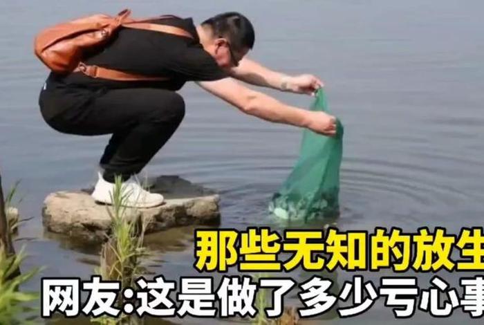 放生活动是什么 - 放生是什么行为 放生活动是什么 - 放生是什么行为