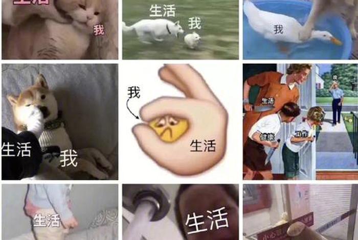 生活 我表情包图片大全 - 生活我表情包什么意思 生活 我表情包图片大全 - 生活我表情包什么意思