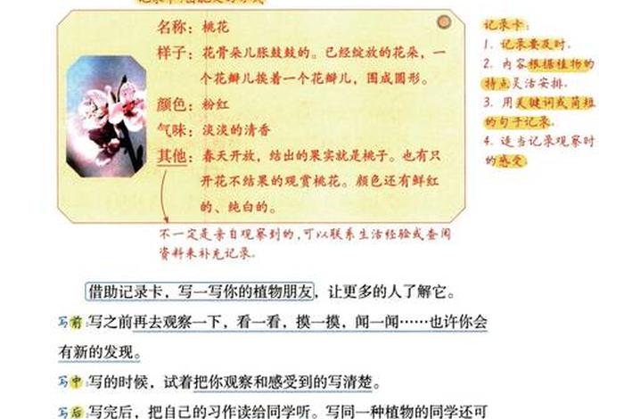 语文与生活三年级、语文与生活怎么写 语文与生活三年级、语文与生活怎么写