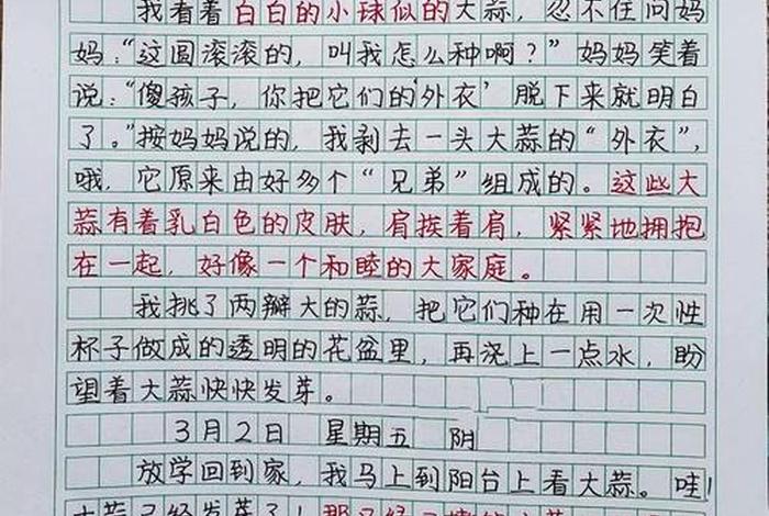 观察生活日记200个字，观察生活日记400字大全