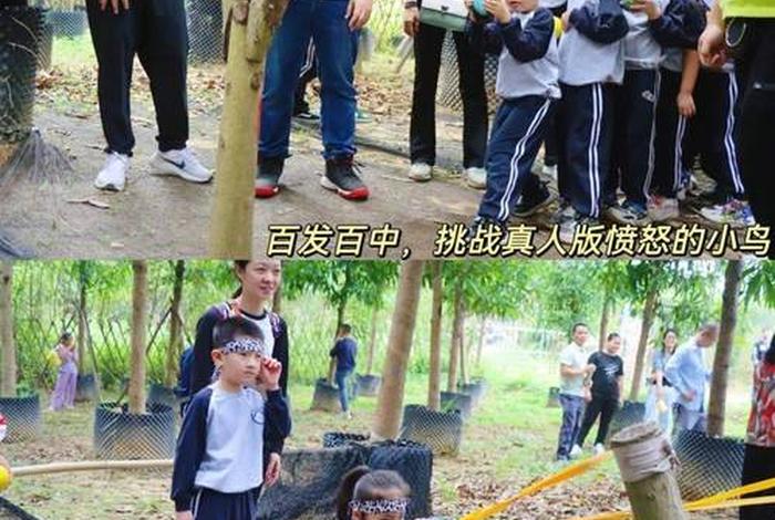 悠闲生活从海洋寻宝开始笔趣鸽 - 悠闲的生活从海洋寻宝开始都市 悠闲生活从海洋寻宝开始笔趣鸽 - 悠闲的生活从海洋寻宝开始都市