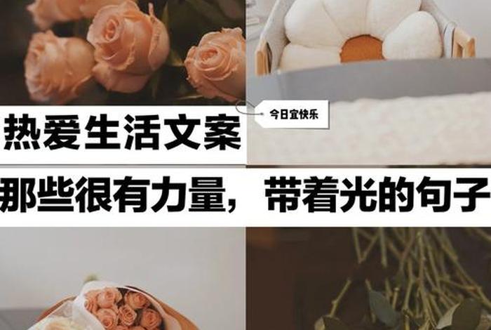 依然热爱生活的上一句,依然热爱生活依然热泪盈眶 依然热爱生活的上一句,依然热爱生活依然热泪盈眶