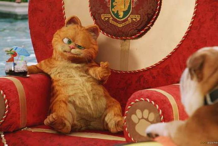 加菲猫的幸福生活英文(加菲猫的幸福生活英文版第一季免费观看) 加菲猫的幸福生活英文(加菲猫的幸福生活英文版第一季免费观看)