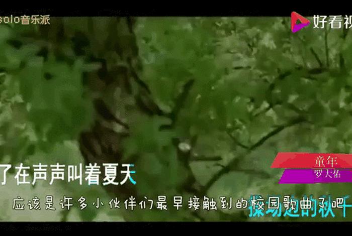 回忆校园生活歌曲;回忆校园的纯音乐 回忆校园生活歌曲;回忆校园的纯音乐