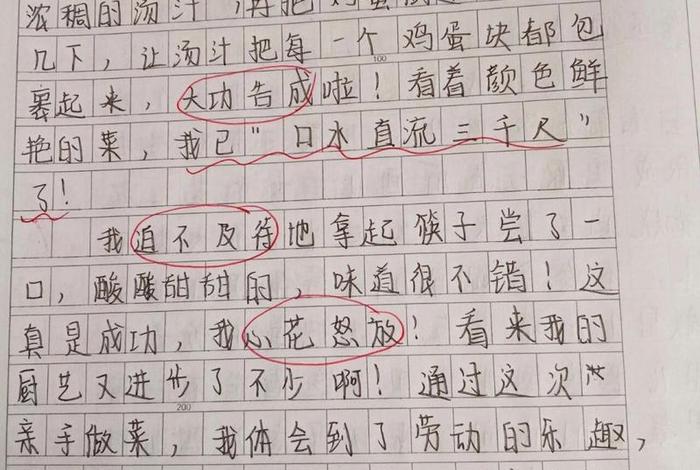 周记日常生活400字 - 周记日常生活400字炒菜西红柿炒鸡蛋