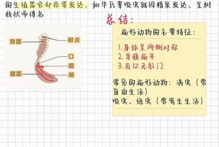 寄生生活的扁形动物,寄生生活的扁形动物什么器官发达 寄生生活的扁形动物,寄生生活的扁形动物什么器官发达