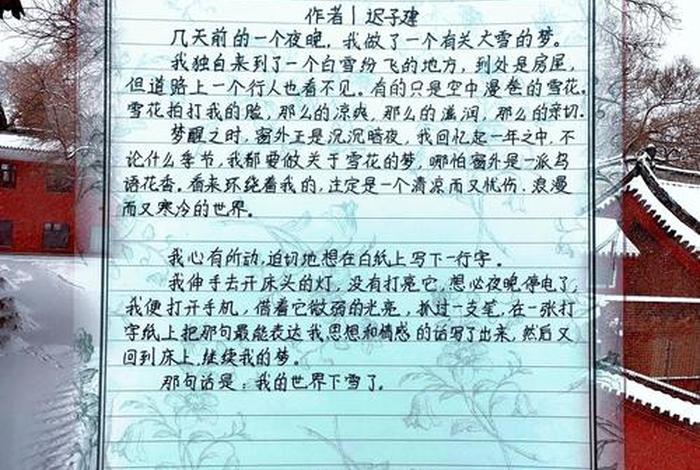 小雪的生活日记txt（小雪的生活日记小说阅读）