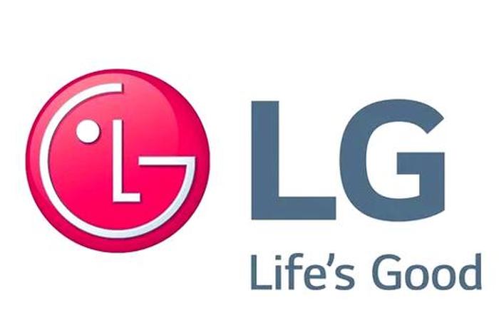 lg生活;LG生活健康业绩2024 lg生活;LG生活健康业绩2024