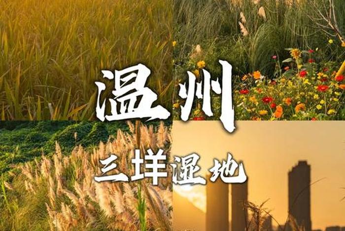 温州的生活记录(温州生活特色) 温州的生活记录(温州生活特色)