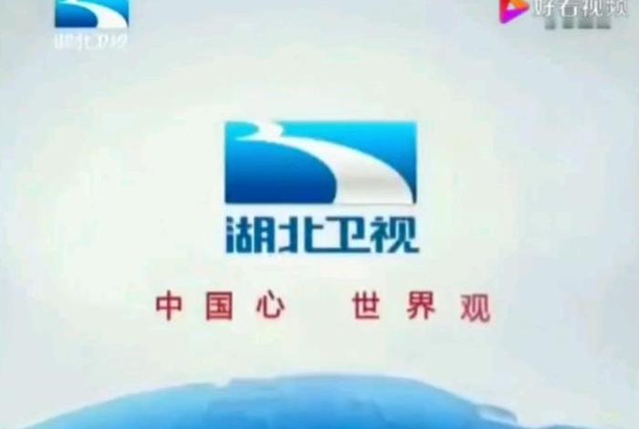 湖北生活频道今日回放观看 - 湖北生活频道回放视频