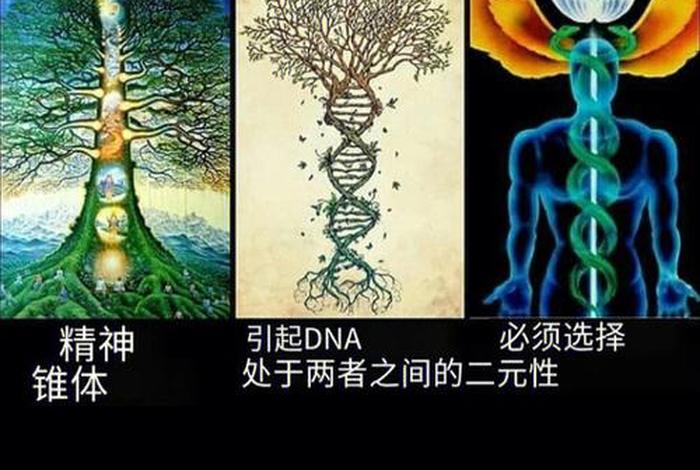 生活与生命的关系 - 生活和生命