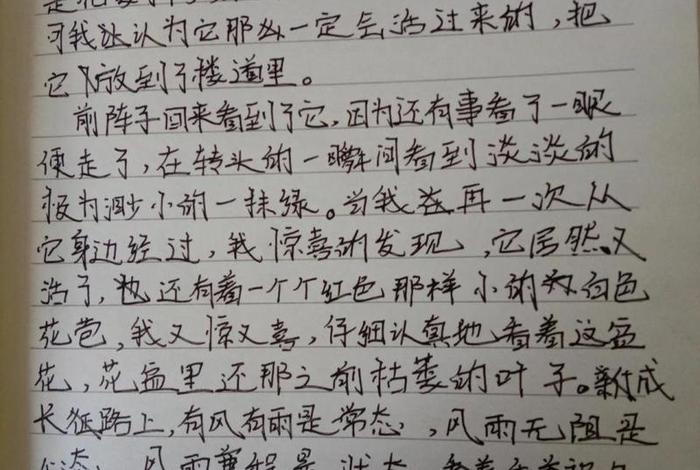 日常生活周记大全、日常生活周记大全600字 日常生活周记大全、日常生活周记大全600字