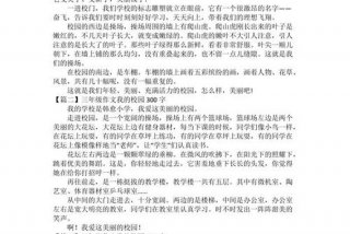 作文我的校园生活300字（我的校园生活作文300字小学生作文）