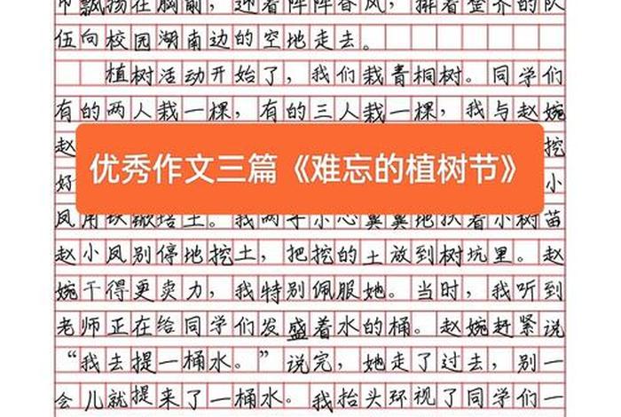 近期生活照 树下、生活在树下满分作文