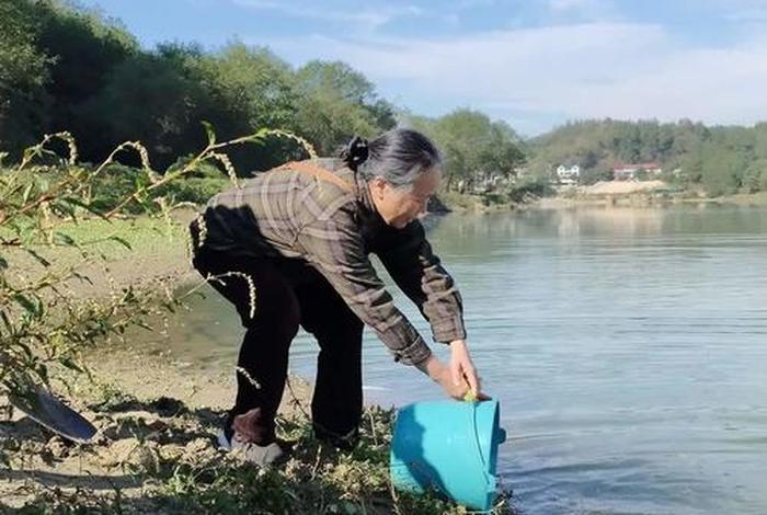 放生活动总结;放生活动美篇 放生活动总结;放生活动美篇