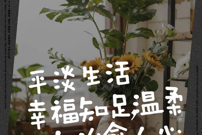 生活很平淡下一句,生活过得很平淡 生活很平淡下一句,生活过得很平淡