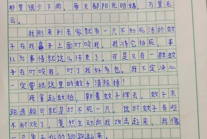 《生活的趣味》作文、生活 趣味 《生活的趣味》作文、生活 趣味