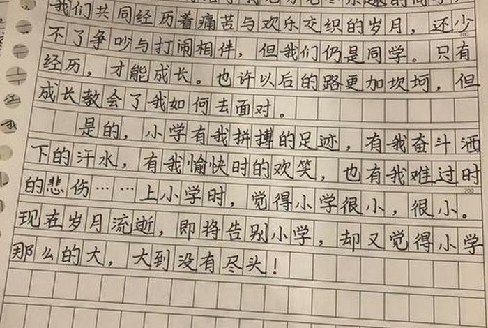 小学生生活篇怎么写 小学生生活作文怎么写 小学生生活篇怎么写 小学生生活作文怎么写