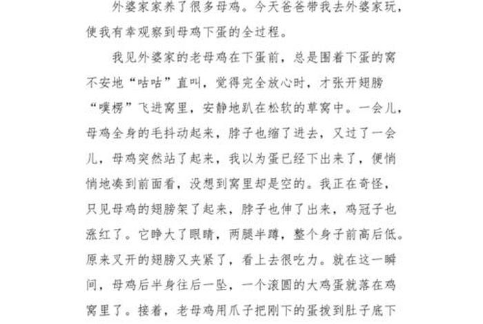 观察生活日记350字，观察生活日记350字怎么写