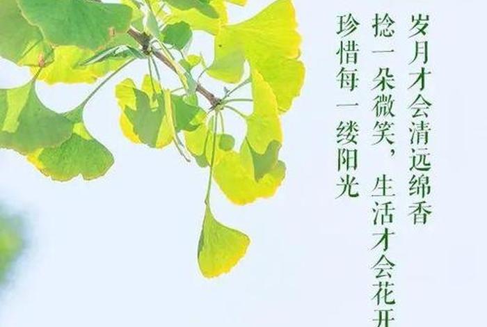 早安生活感悟简短语句 - 早安生活的感悟句子说说心情 早安生活感悟简短语句 - 早安生活的感悟句子说说心情