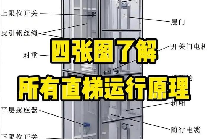 生活中的结构原理 生活中常见的结构类型 生活中的结构原理 生活中常见的结构类型