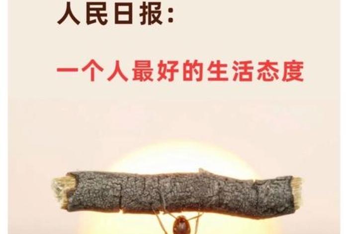 生活态度有哪些方面;生活态度有哪些方面的问题 生活态度有哪些方面;生活态度有哪些方面的问题