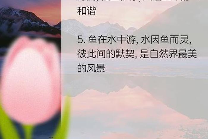 生活是水,人是鱼，生活是水,人是鱼下一句