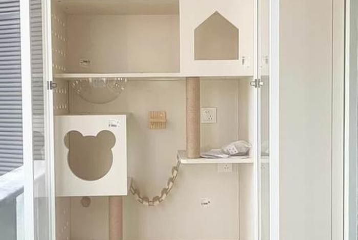 生活改造家猫爸猫妈、生活改造家猫咪 生活改造家猫爸猫妈、生活改造家猫咪