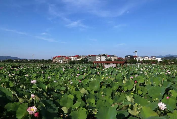 萍乡生活怎么样，萍乡市生活怎么样