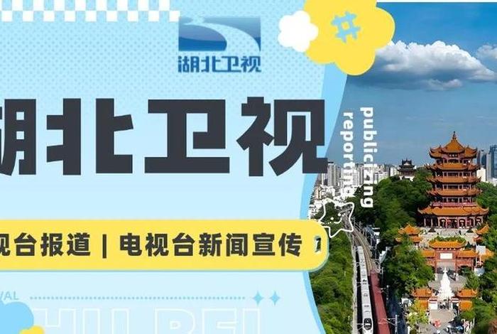 湖北生活频道今日视点回放；湖北生活频道卫视今日回放