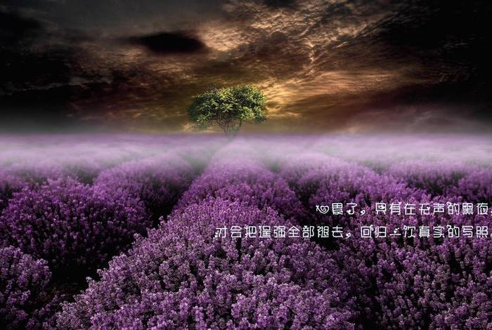 心累 伤感 图片 - 心累 伤感 图片风景 心累 伤感 图片 - 心累 伤感 图片风景