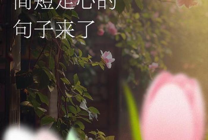 生活正能量的句子简短霸气(生活正能量的话励志的语句) 生活正能量的句子简短霸气(生活正能量的话励志的语句)