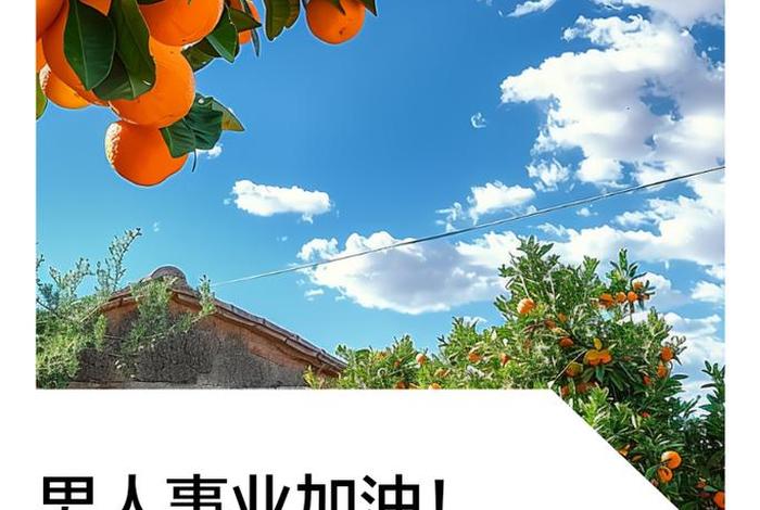 形容男人生活精致的句子，形容一个男人生活精致且有事业的句子