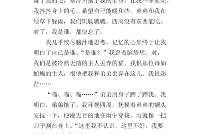 流浪猫的故事、流浪猫的故事作文 流浪猫的故事、流浪猫的故事作文