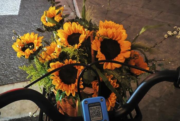 生活中的图片大全（生活中的图示图片）